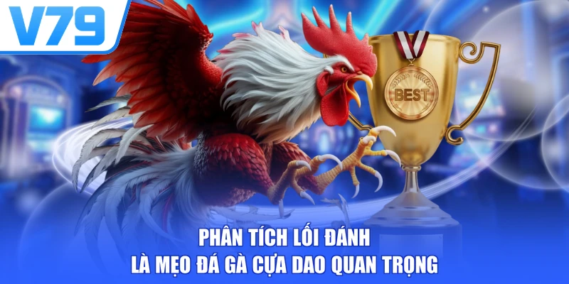 Phân tích lối đánh là mẹo đá gà cựa dao quan trọng